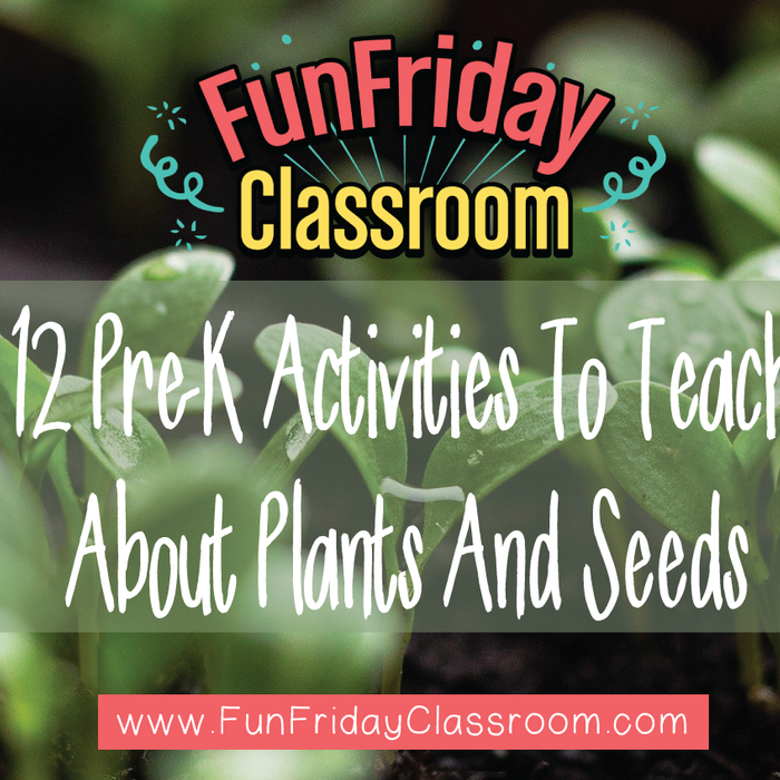 12 Pre-K Activities To Teach About Plants And Seeds