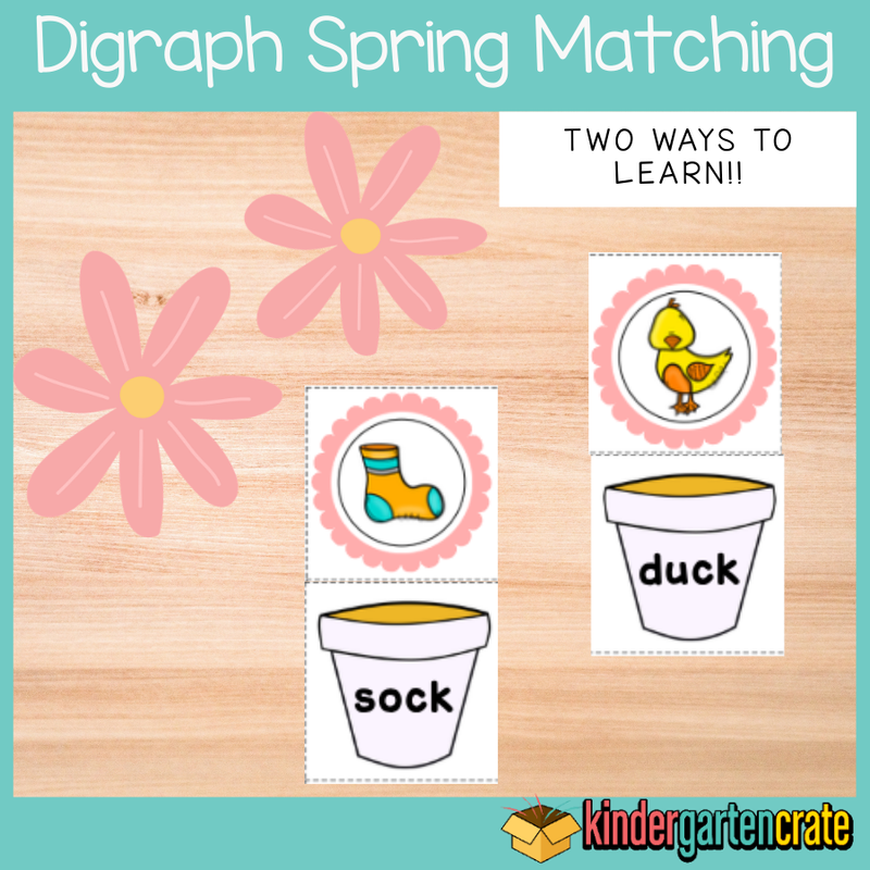 Digraph Spring Matching Puzzles - Kindergarten Crate