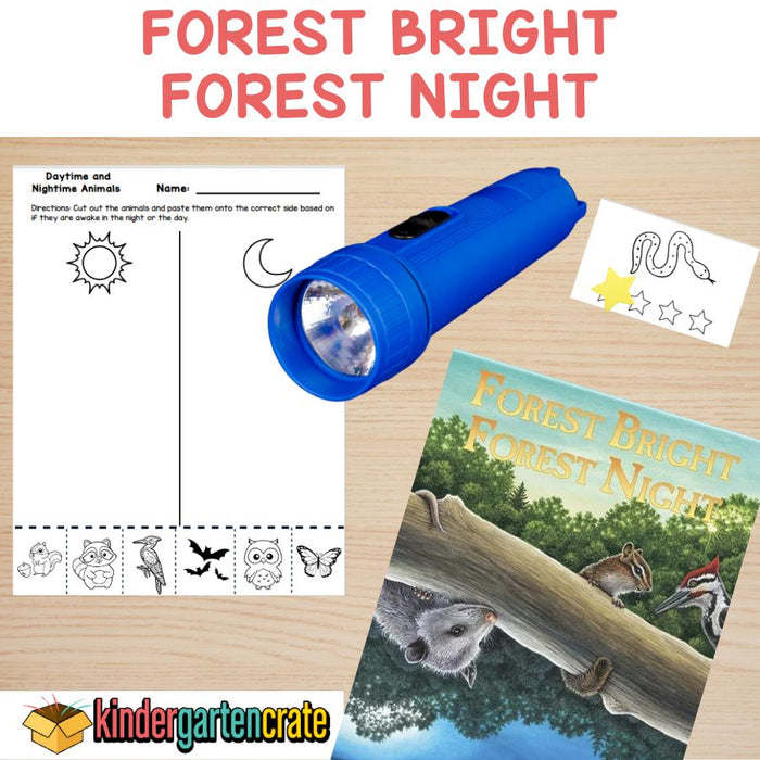 Forest Bright Forest Night - Begin with Books
