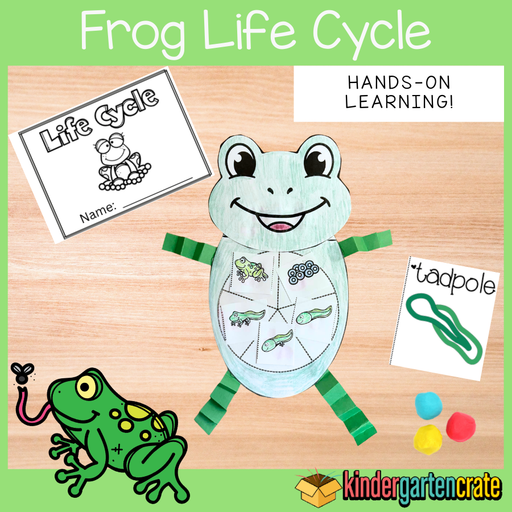 Frog Life Cycle Set - Kindergarten Crate